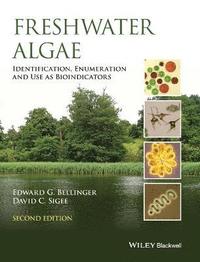 bokomslag Freshwater Algae