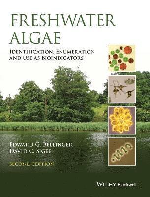 Freshwater Algae 1