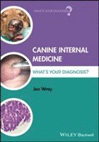 bokomslag Canine Internal Medicine