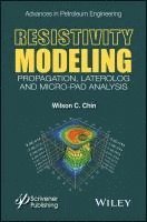 bokomslag Resistivity Modeling