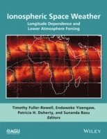 bokomslag Ionospheric Space Weather