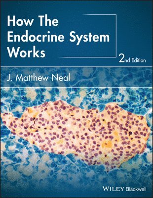 bokomslag How the Endocrine System Works