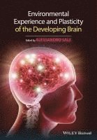 bokomslag Environmental Experience and Plasticity of the Developing Brain