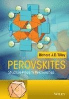 bokomslag Perovskites