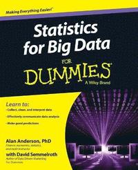 bokomslag Statistics for Big Data For Dummies