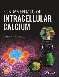 bokomslag Fundamentals of Intracellular Calcium
