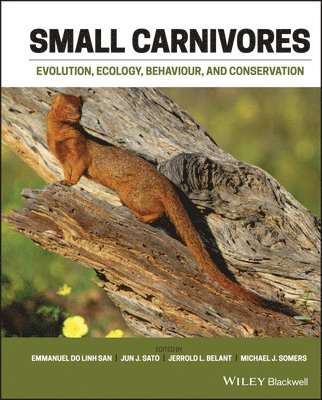 bokomslag Small Carnivores