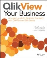 Oleg Troyansky, Tammy Gibson, Charlie Leichtweis - QlikView Your Business, Häftad