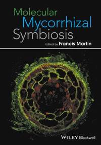 bokomslag Molecular Mycorrhizal Symbiosis