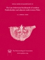 bokomslag Special Papers in Palaeontology, The Late Ordovician Brachiopods of Southern Pembrokeshire and Adjacent South-Western Wales