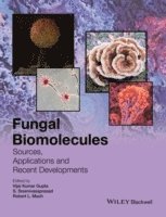 bokomslag Fungal Biomolecules