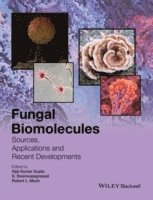 Vijai Kumar Gupta, Robert L. Mach, S. Sreenivasaprasad, Robert L Mach - Fungal Biomolecules, Inbunden