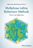 bokomslag Multiphase Lattice Boltzmann Methods