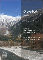 bokomslag Gravel-Bed Rivers