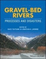 Gravel-Bed Rivers 1