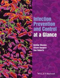 bokomslag Infection Prevention and Control at a Glance