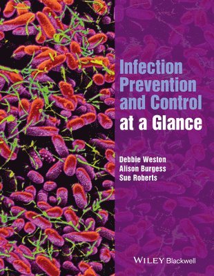 bokomslag Infection Prevention and Control at a Glance