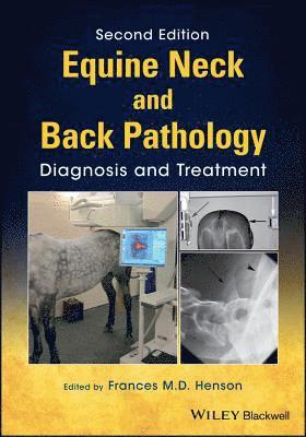 Equine Neck and Back Pathology 1