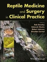 bokomslag Reptile Medicine and Surgery in Clinical Practice