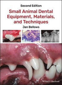 bokomslag Small Animal Dental Equipment, Materials, and Techniques