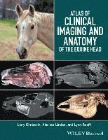 bokomslag Atlas of Clinical Imaging and Anatomy of the Equine Head