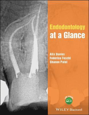 bokomslag Endodontology at a Glance