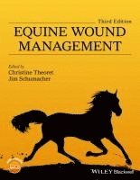 bokomslag Equine Wound Management