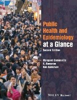 Margaret Somerville, K. Kumaran, Rob Anderson - Public Health and Epidemiology at a Glance, Häftad