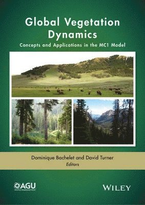 Global Vegetation Dynamics 1