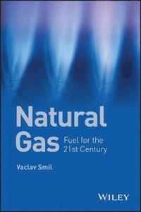bokomslag Natural Gas