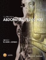 bokomslag Abdominal-Pelvic MRI