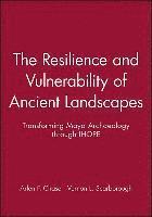 bokomslag The Resilience and Vulnerability of Ancient Landscapes