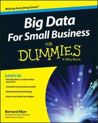 bokomslag Big Data For Small Business For Dummies