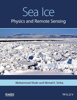 Sea Ice - Physics and Remote Sensing 1