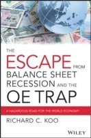 bokomslag The Escape from Balance Sheet Recession and the QE Trap