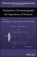 bokomslag Preparative Chromatography for Separation of Proteins