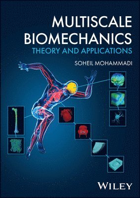 bokomslag Multiscale Biomechanics