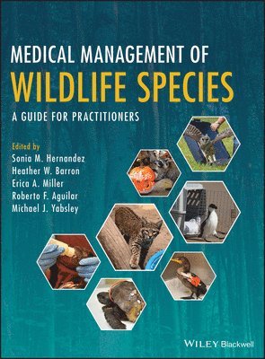 bokomslag Medical Management of Wildlife Species