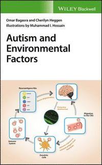bokomslag Autism and Environmental Factors