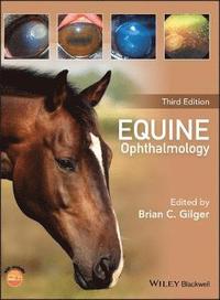 bokomslag Equine Ophthalmology 3e