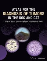 bokomslag Atlas for the Diagnosis of Tumors in the Dog and Cat