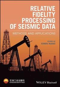 bokomslag Relative Fidelity Processing of Seismic Data