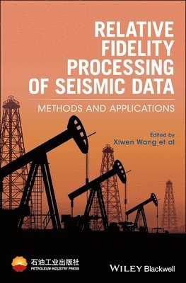 bokomslag Relative Fidelity Processing of Seismic Data