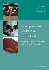 bokomslag A Companion to South Asia in the Past