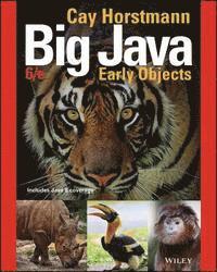 bokomslag Big Java: Early Objects