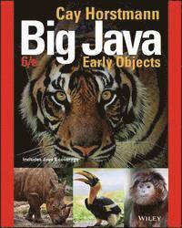 Cay S. Horstmann - Big Java: Early Objects, Häftad