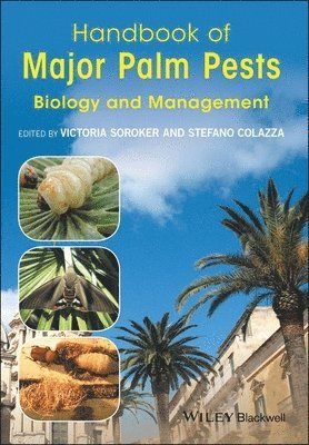 bokomslag Handbook of Major Palm Pests