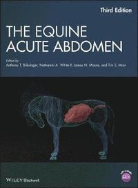 bokomslag The Equine Acute Abdomen