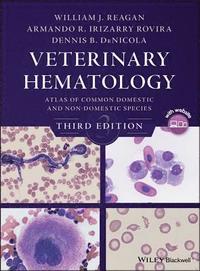 bokomslag Veterinary Hematology