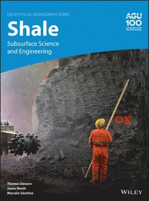 bokomslag Shale